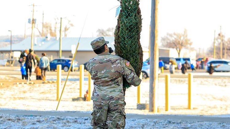Trees for Troops