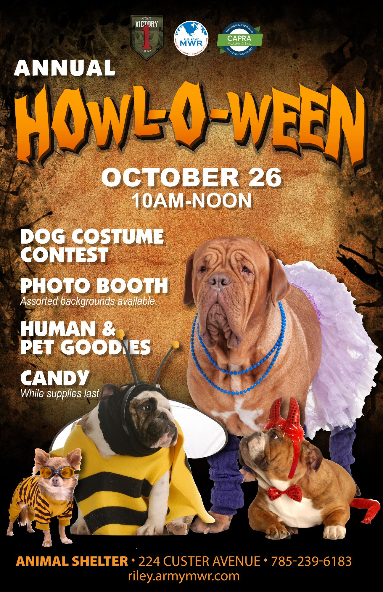 Howl-o-ween24.jpg