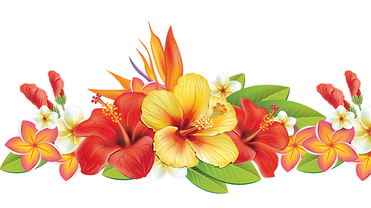 Aloha Summer Aloha School Year!
