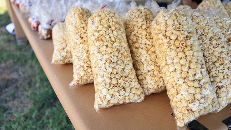 Fall Apple Day Festival Vendor Opportunity