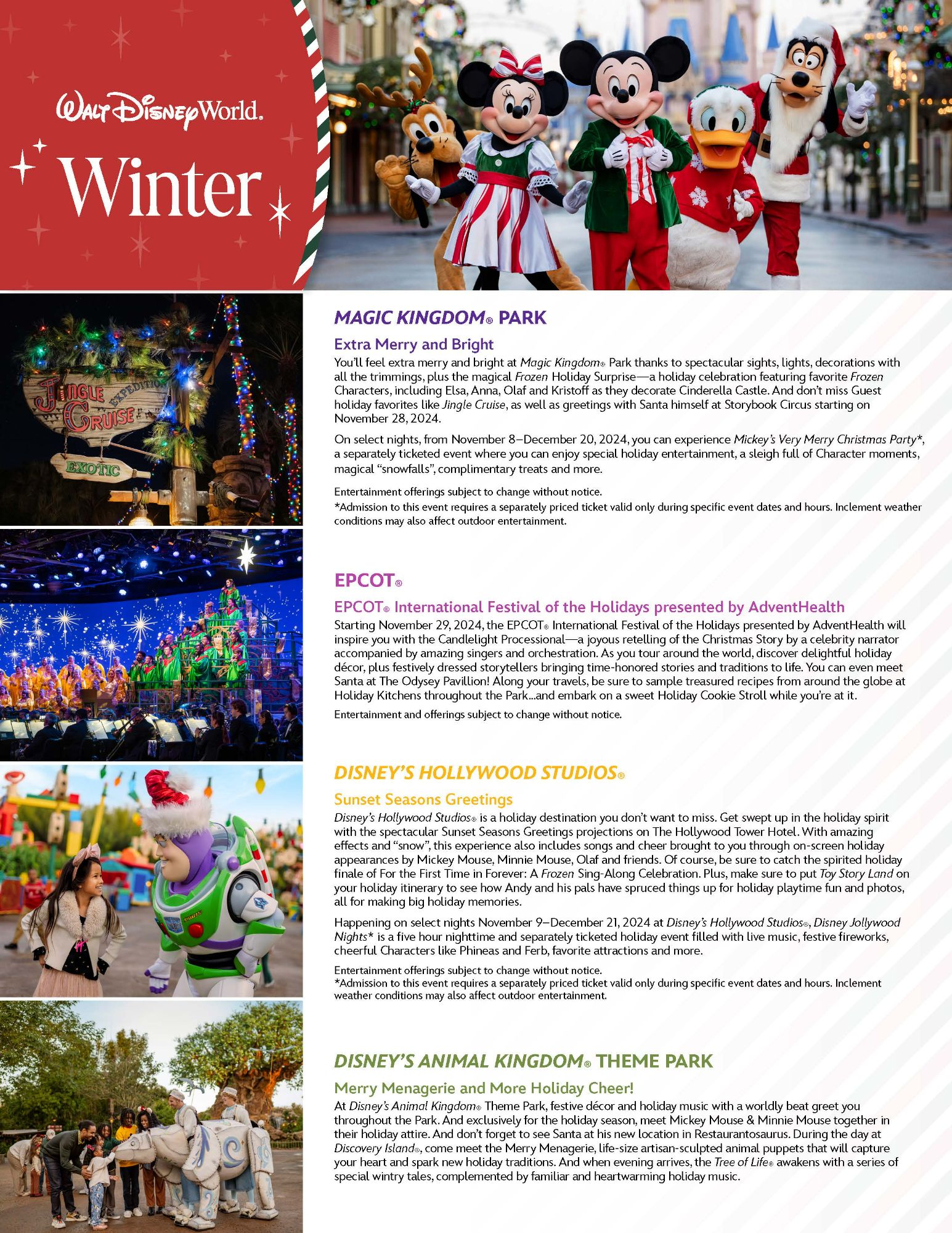 WDW Winter Newsletter_Page_1.jpg