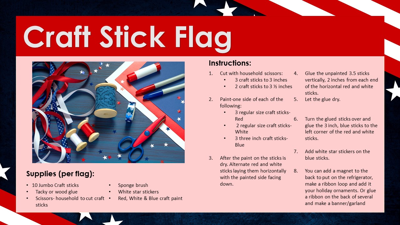 Craft Stick Flag 