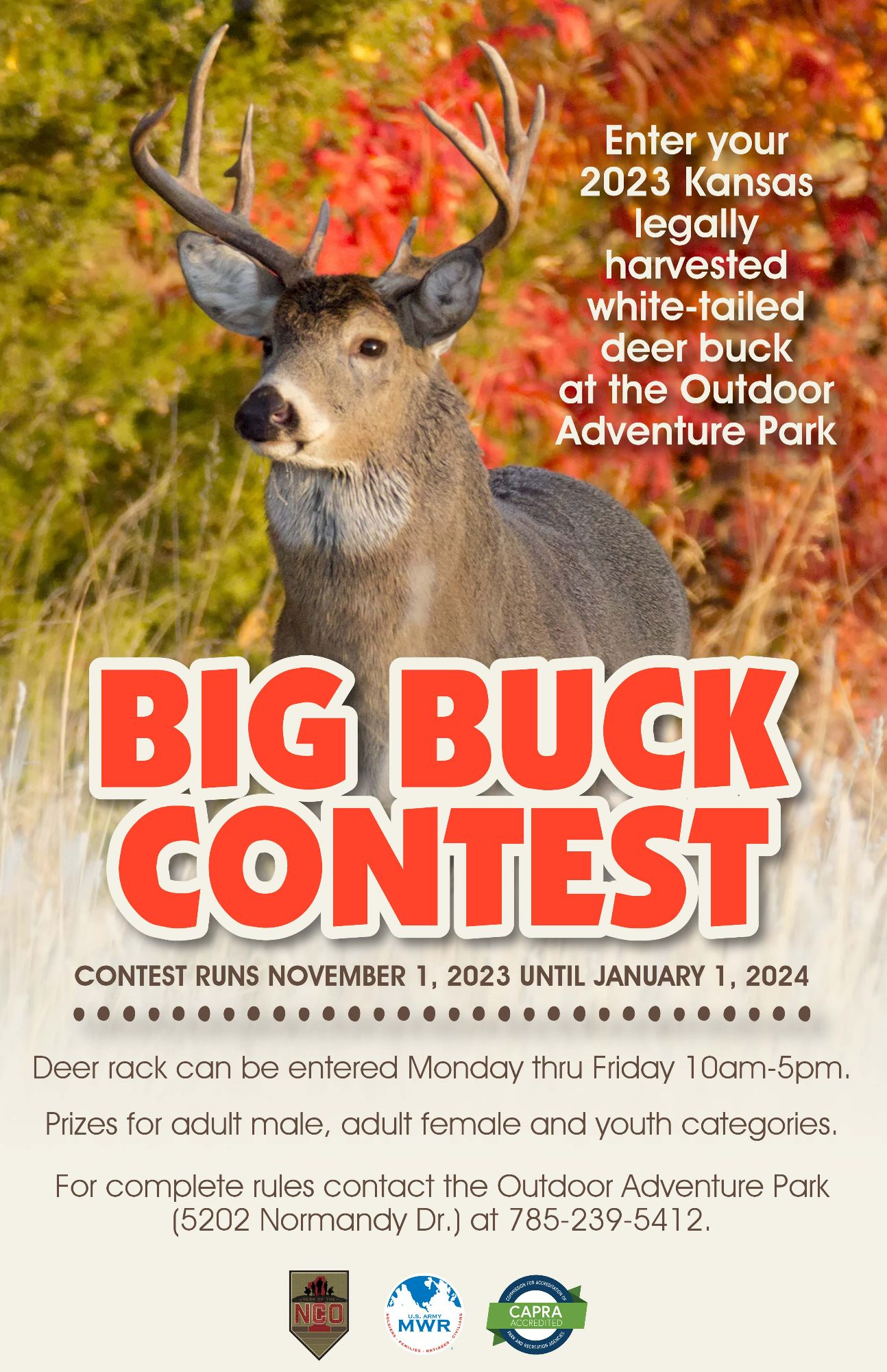 big buck contest.jpg