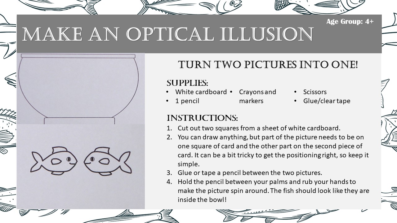 Make an Optical Illusion 