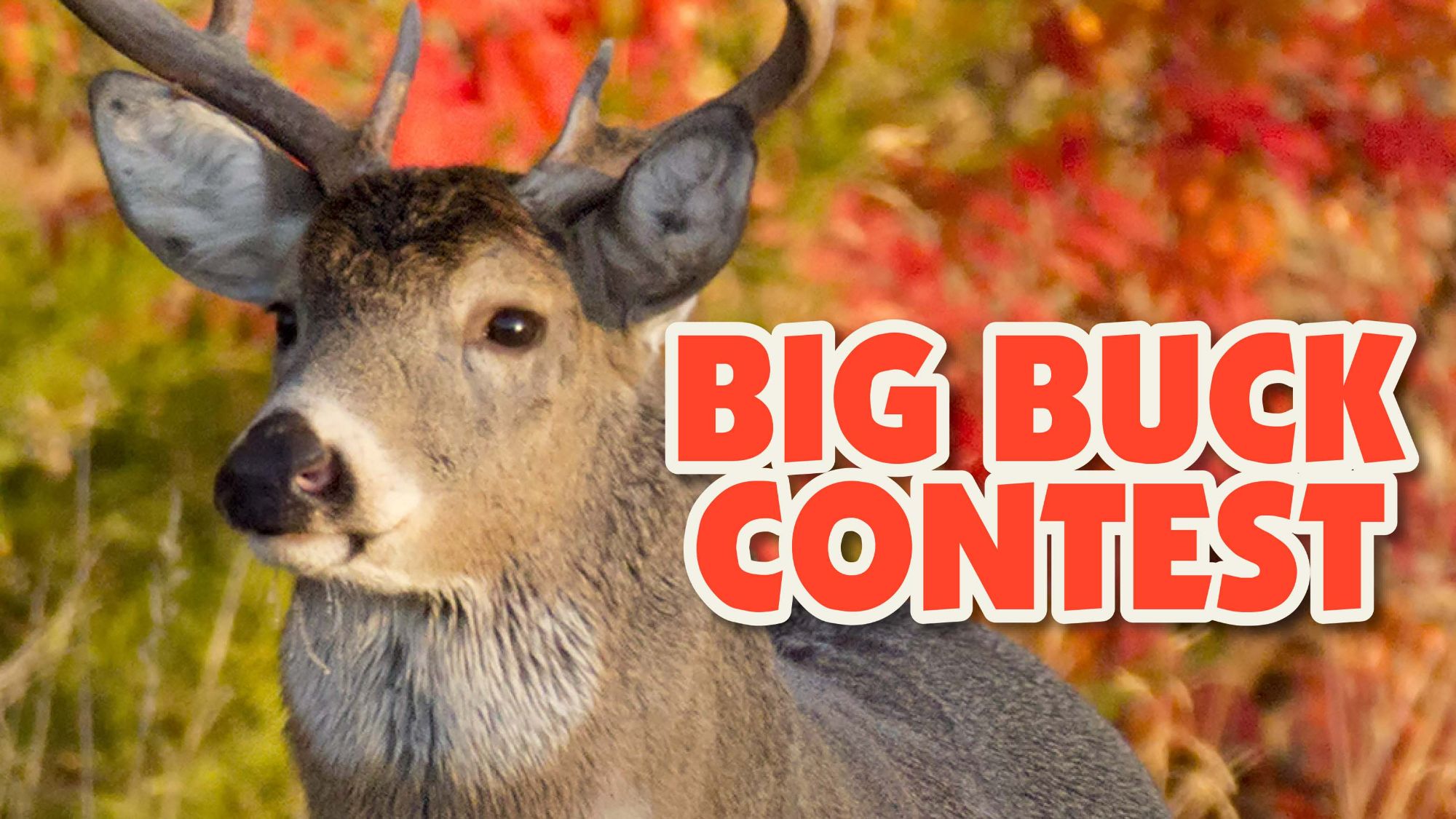 Big Buck Contest :: Ft. Riley :: US Army MWR