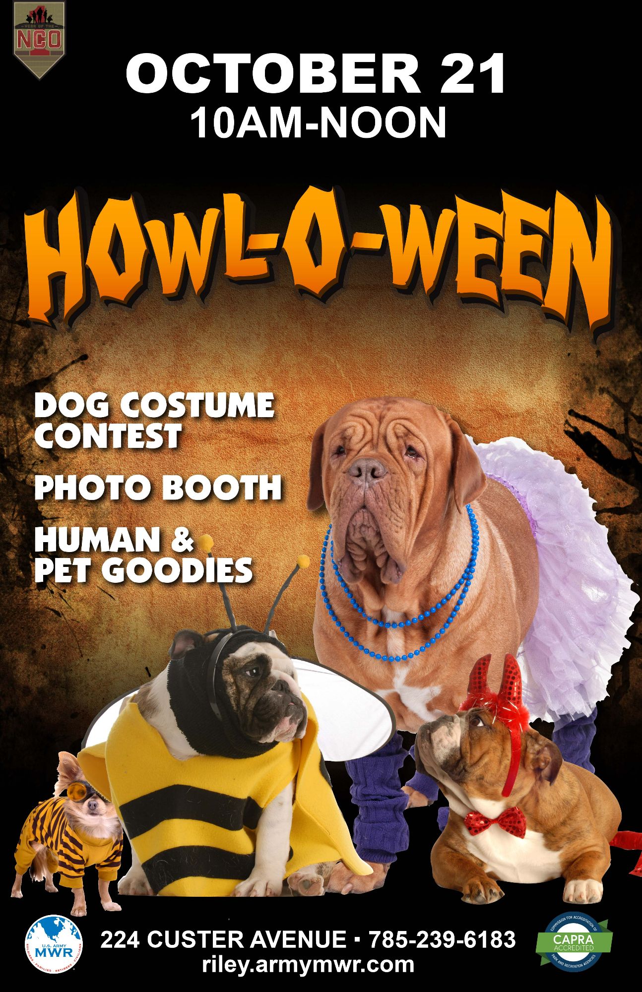 Howl-o-ween23.jpg