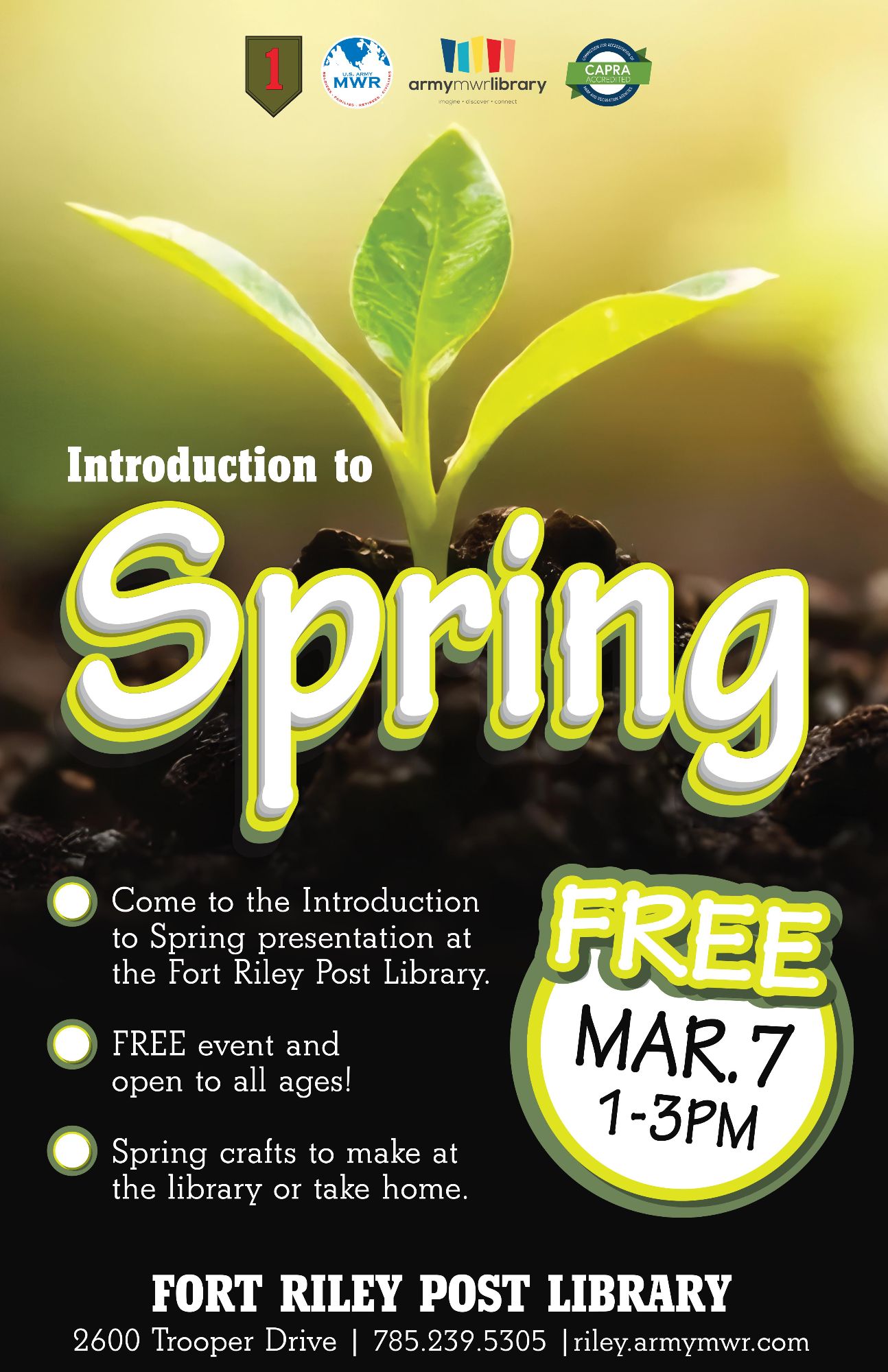 intro to spring-1.jpg