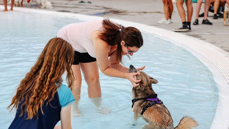 Splish Splash Dog Bash