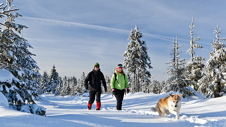 Winter Outdoor Photo Contest Winter Outdoor Photo Contest